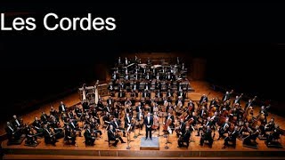 Les instruments de l'Orchestre Symphonique - Les Cordes frottées