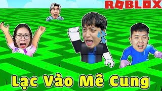 Bun Giải Mã Mê Cung Siêu Khó Trong ROBLOX , Bun Có Làm Được ??