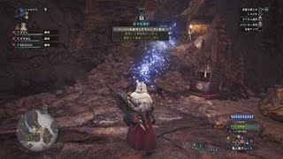 MHW 「極ベヒーモス討滅戦」4pt 拡散 08'00\