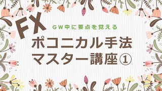 FX ポコニカル手法マスター講座①【GWで要点を覚える】