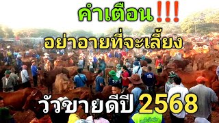 คำเตือน!!!...อย่าอายที่จะเลี้ยง...วัวขายดีปี2568