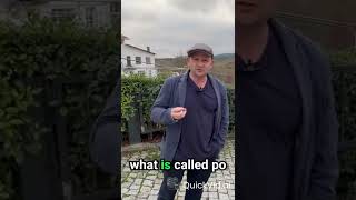 Odkrywamy tajniki kultury wina w Portugalii 🍇🍷