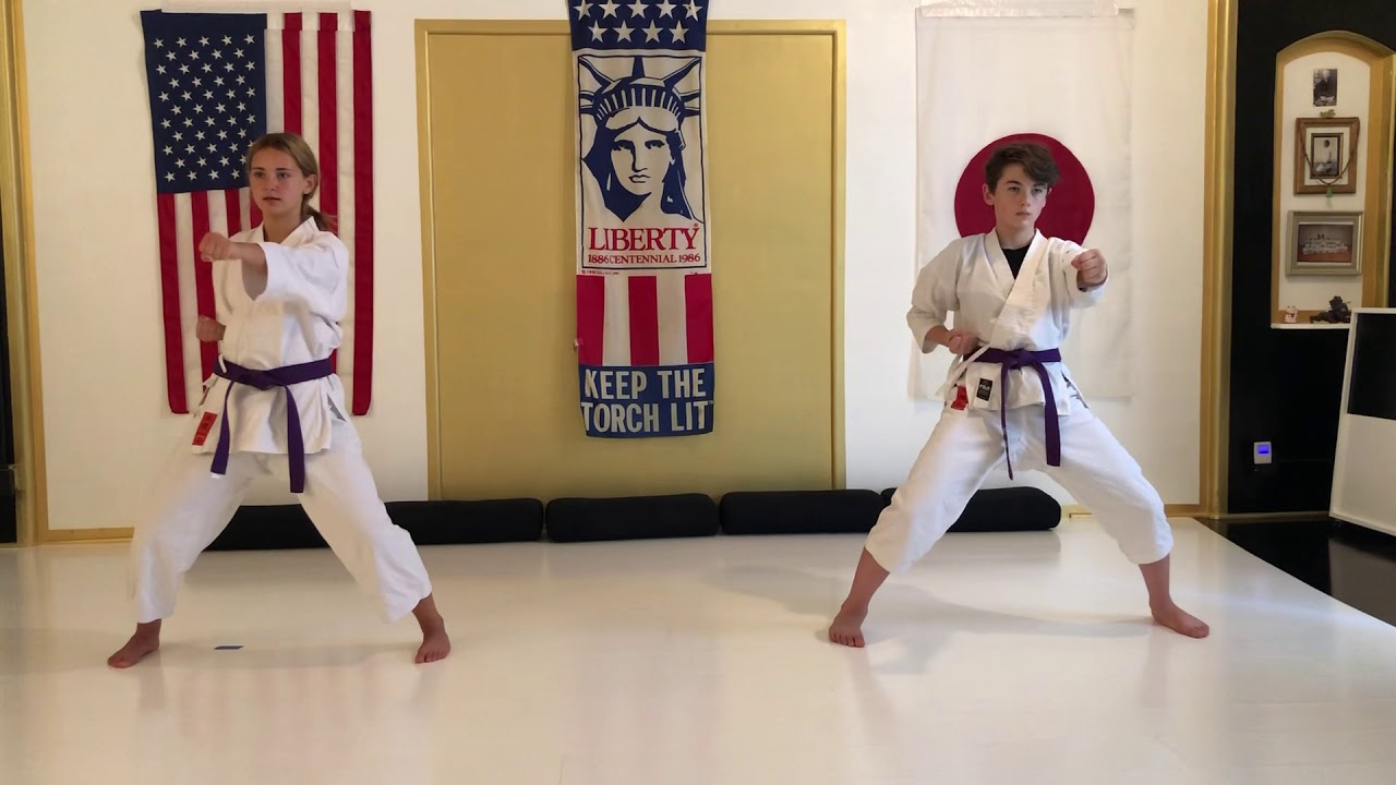 Punching Chudan Slow Motion - Nick's Dojo - Manhattan Beach Traditional ...