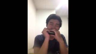 Sorry - Justin Bieber (Harmonica Cover) by Rega Dauna