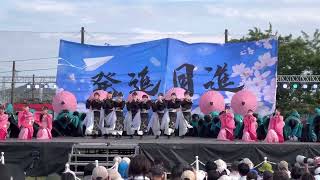 【ファイナル】常笑『進花』｜2023.6.4 犬山踊芸祭