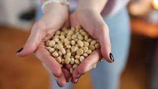 The Power Of The Lupini Bean