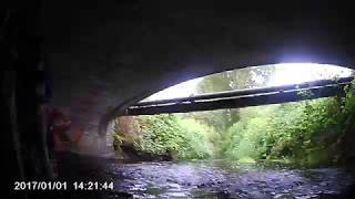 Chimacum Creek Underwater View