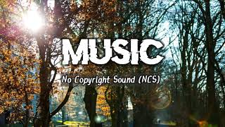 NCS | Free Background Music | For Youtube Videos | No Copyright Sound | Music| For content creators.