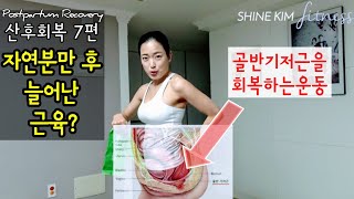 [산후운동] 산후회복7편 골반기저근\u0026코어운동