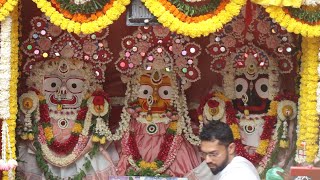 Shree Jagannath Rath Yatra 2024 | Ghatkopar , Mumbai