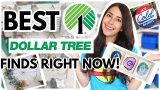 BEST DOLLAR TREE PRODUCTS TO LOOK OUT FOR RIGHT NOW 2021