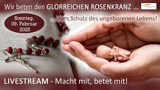 Wir beten den glorreichen Rosenkranz für die ungeborenen Kinder, dass sie leben dürfen.