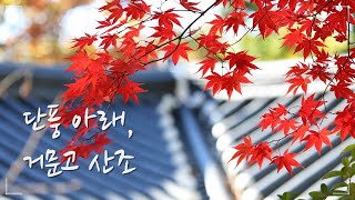 🍂🍁단풍 아래, 거문고 산조 (휴식/명상/힐링/자연) / Autumn Leaves / Relaxing Korean Traditional Music / Geomungo Sound