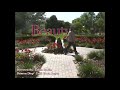 Beauty (Short Film by Jason Halim)