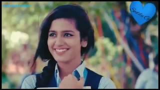 Priya Prakash new video Punjabi song of WhatsApp status video by .. national video