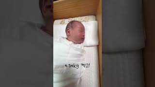 깡총이 인생 15일차 상위 20%돌파!