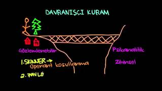 Davranışçı Kuram (Psikoloji / Davranış)