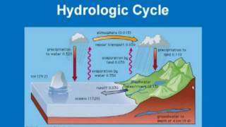 Limnology - Hydrologic Cycle