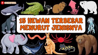 15 HEWAN TERBESAR DI DUNIA MENURUT JENISNYA | BINATANG TERBESAR | BIG ANIMALS NAME | LEARN ANIMALS