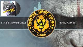 Dance Mixtape Vol.5 by DJ PATRICK [The Apes] (DBK TripMix) 2014