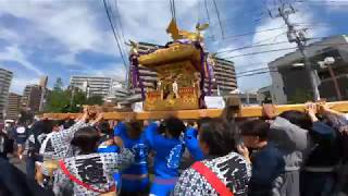 令和元年  　町田天満宮　例大祭　本社神輿立派な渡御です　「生」。