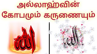 அல்லாஹ்வின் கோபமும் கருணையும்#allah#அல்லாஹ்#tamilbayan#hadees#islam#video#angry#tamilislamicchannel