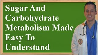 Sugar And Carbohydrate Metabolism Made Easy To Understand [Updated Version]