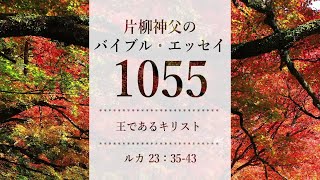 バイブル・エッセイ1055『王であるキリスト』（聖書朗読とミサ説教：片柳弘史神父）