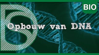 Examen biologie - Opbouw van DNA (Celcyclus) | HAVO - VWO