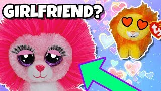 The Beanie Boos family Bushy In love?!  Valentines day special