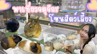 พาเที่ยวตลาดสัตว์เลี้ยง 🦔🐇🦜 | Nunny