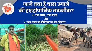 चारा उगाने की हाइड्रोपोनिक तकनीक में क्या है ख़ास?| Hydroponic System| SwadeshiVIP