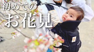 【生後10ヶ月】はじめてのお花見♪桜を見て喜ぶ赤ちゃん！！