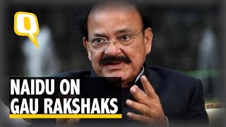 The Quint: Exclusive | No One Can Attack Others in Gau Raksha’s Name: Naidu