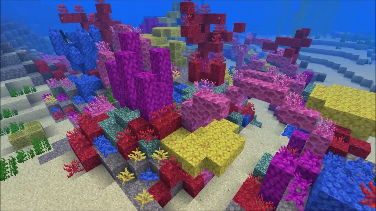 Minecraft Deep Look: Coral Reef - YouTube