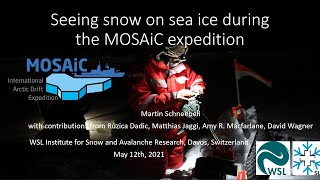 Martin Schneebeli at the International Glaciological Society Global Seminar Series - 12 May 2021