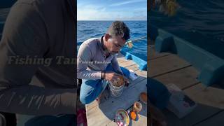 💢😮# WOW||#கடல் மேல பழைய கஞ்சியும் மீன் குழம்பும்||#fishing tamilan||#Indian Ocean fisherman||viral