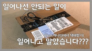 토론토 유학일기_택배 때문에 한국 가고 싶었던 썰