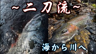 釣りでも流行りは二刀流!!笑 海サクラからのニジマスマルチヒット【北海道 サクラマス】