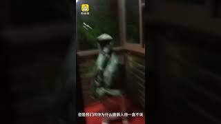 服！小区保安脱岗，造个假人值班