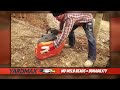 yardmax plate compactor