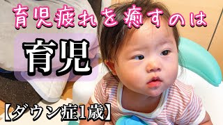 【パパと呼ばれた日】育児疲れを吹き飛ばす、あんちゃんの『こてんっ』【ダウン症1歳】