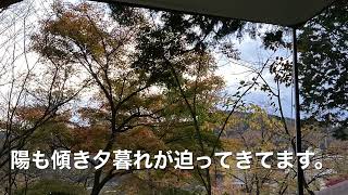 【チャン爺のソロキャンプ】　紅葉の三河湖で初ソロキャンプ