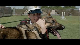 【NG】來介紹一部為了與你相遇的真人真事電影《梅根李維 Megan Leavey》