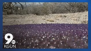 Mysterious, purple sphere's found in the desert