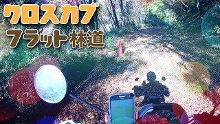 [ツーリング] 近所のフラット林道をクロスカブで走ってみる（山手林道） [モトブログ] #クロスカブ #ツーリング #モトブログ