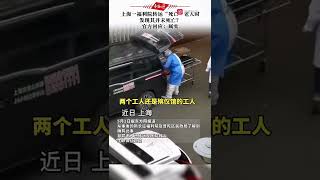 上海一福利院老人没去世被拉走4