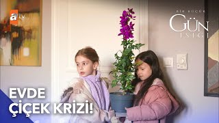 Zehirli çiçek Güneş'in elinde! - Bir Küçük Gün Işığı 26. Bölüm