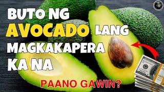 BUTO NG AVOCADO LANG! MAGKAKAPERA KA NA | PAANO GAWIN | Bhes Tv