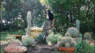 Planting Succulents, Wild Blooms \u0026 Gentle Grasses- Finally!